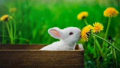 乐鱼网址-九游体育：让热爱体育的人享受每一场精彩的瞬间